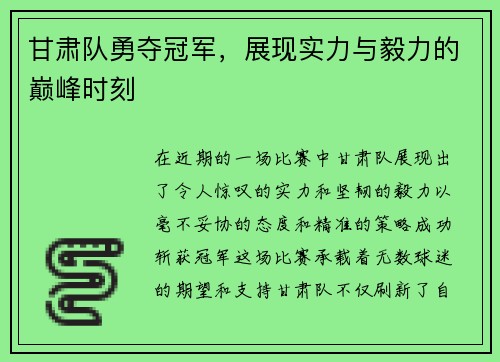 甘肃队勇夺冠军，展现实力与毅力的巅峰时刻