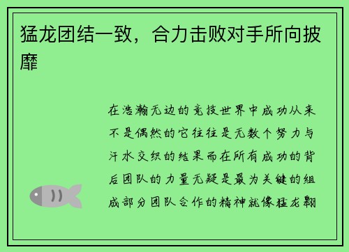 猛龙团结一致，合力击败对手所向披靡