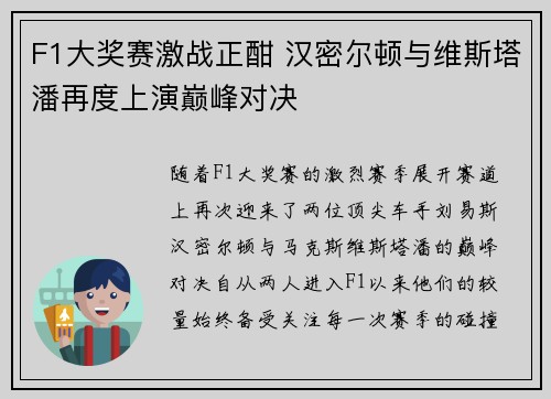 F1大奖赛激战正酣 汉密尔顿与维斯塔潘再度上演巅峰对决